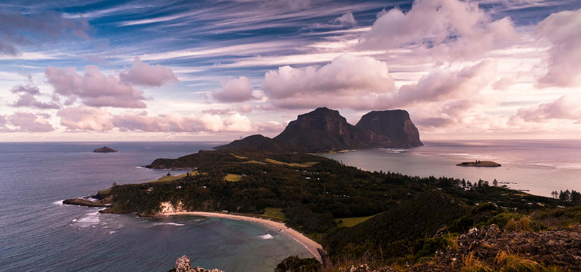 今期马羊猴出特，沙觜尽头飞白鹭指代表是打什么生肖 最佳准确生肖完美解析