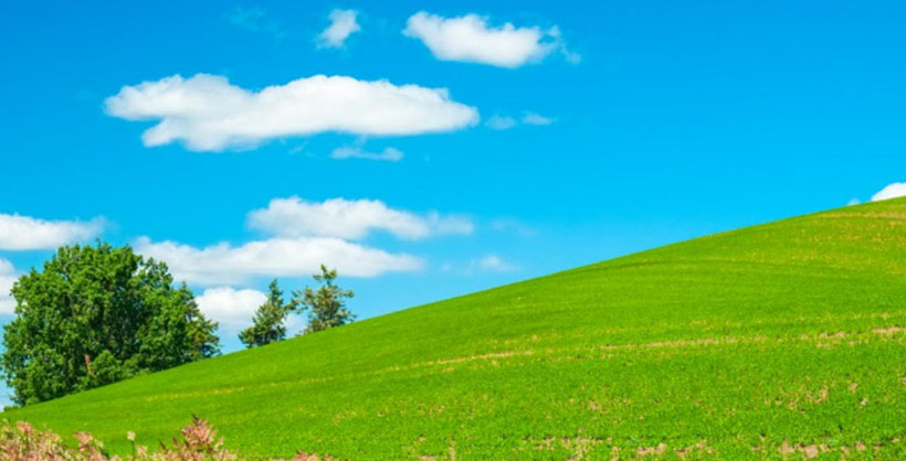 擿埴索途打一准确最佳生肖意指哪一个生肖,独家深入探究解释