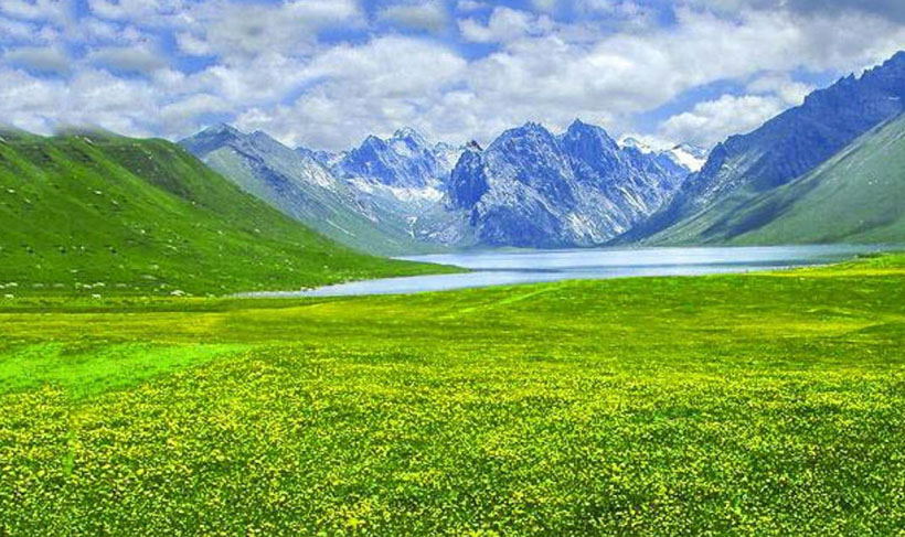 云影断来峰影出，金丹一粒定长生代表是指什么生肖，答案成语释义解释