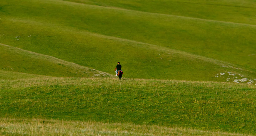 刃迎缕解准确猜答一个生肖,精选落实释义解析