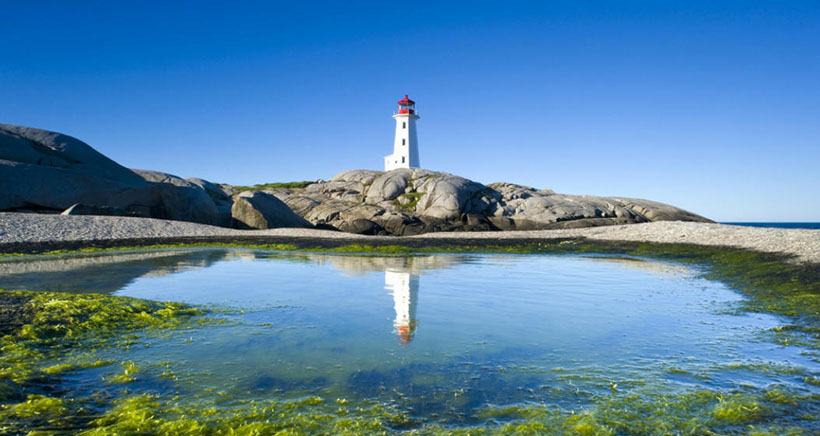 元龙高卧打一个生肖 最新诗句解释解答落实