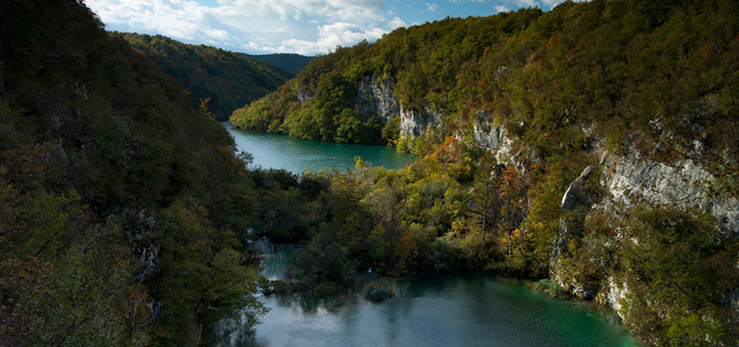 垂死挣扎指代表什么生肖，最佳释义解析成语