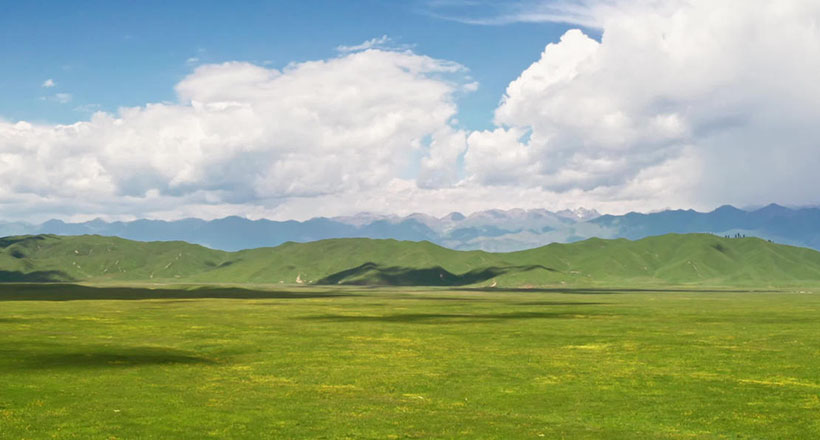 塘边仙鹤，自力更生，自给自足悠然得；旁人凯觎，何须上心？各有前因莫羡人指代表什么生肖 最准确诗句解析