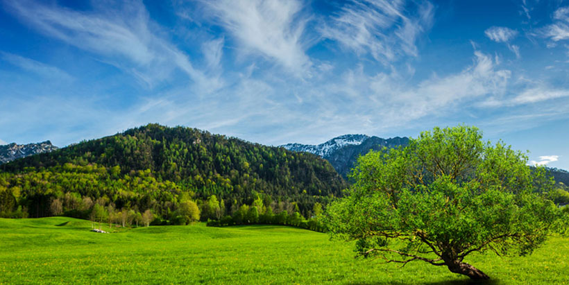 岁暮天寒是代表最佳什么生肖词语,释义成语精选解释!