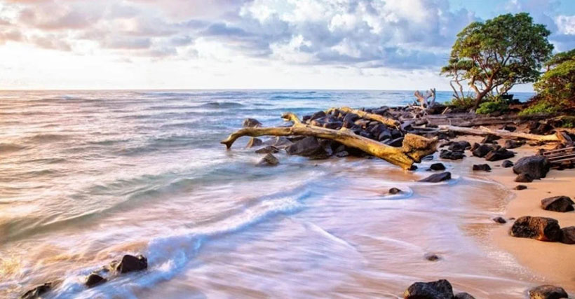 元龙高卧猜一最佳准确生肖  精选词语释义 详细解释