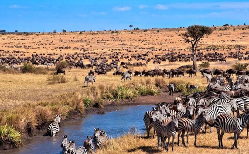 不义之财指代表什么生肖?解释代表一个准确生肖 最佳精选释义词语解释