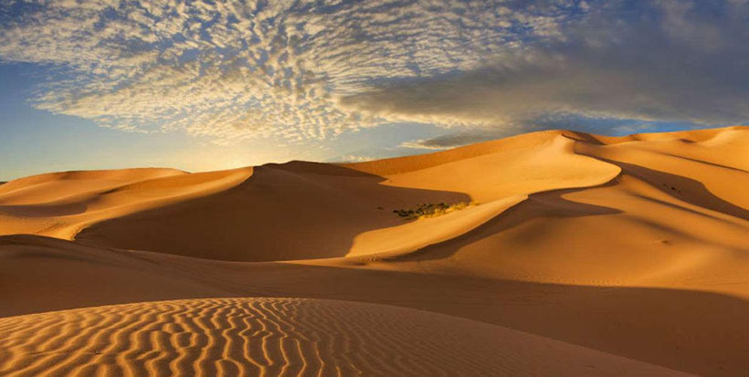 独家解义：“冰炭不投是指打一正确准确什么生肖，“冰炭不投是猜成语最佳释义解释