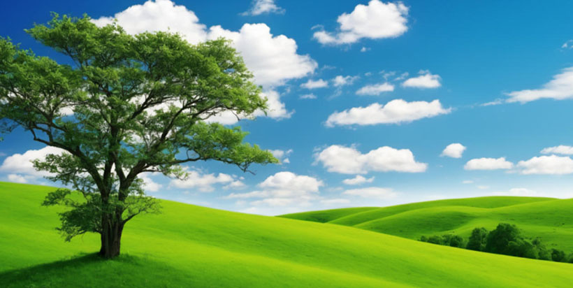 “冰炭不投”代表什么生肖!|冰炭不投最佳的生肖动物|冰炭不投猜解一释义作答词语赏析解释解析