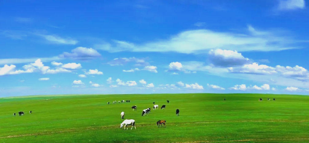 今期生肖二三开，五百年中出圣贤是代表什么生肖 词语解释最佳释义