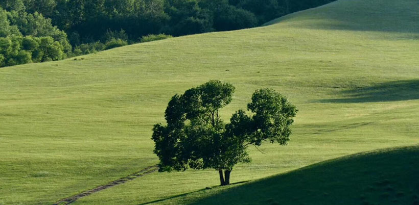 岁暮天寒打一最佳正确生肖,谜词答案深度解析