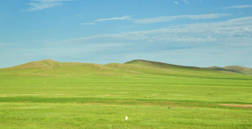 今期生肖天神力，当局者迷旁观清，拿腔作势是歌王，喜上加喜双数来打指什么生肖词语解释最佳释义