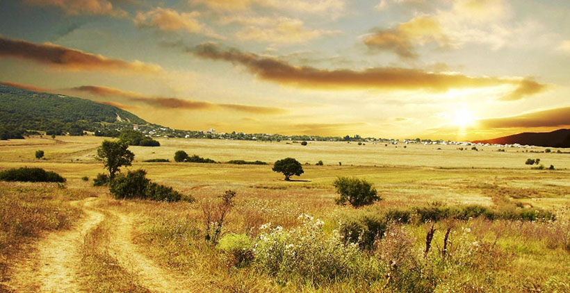 灵砂犀角费频磨，温峤终虚玉镜台打一正确最佳生肖 词语释义落实作答