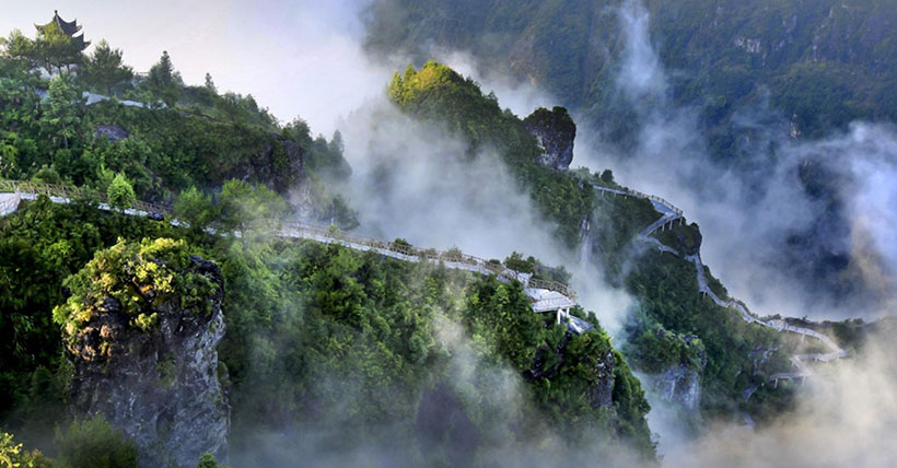 三声无奈叹命运，贵贱随缘任品评；七曜循环轮好坏，自怨自艾却多情是打一最准确生肖，最佳解释释义答案