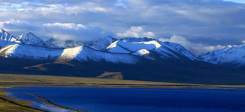 如饮醍醐猜指是一个最佳准确生肖，精准释义成语解释释