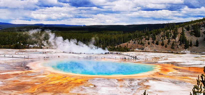 大材小用打指一个最佳准确生肖精选释义谜团解释