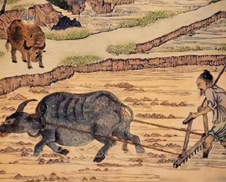 满语“尼堪”：历史长河中的文化符号与误解澄清